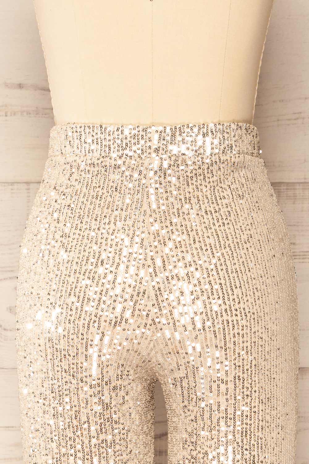 Coloma Silver Wide-Leg Sequin Pants | La petite garçonne back close-up