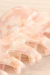 Coloris Pink 2 Pack Hair Claw Clip | La petite garçonne big close-up