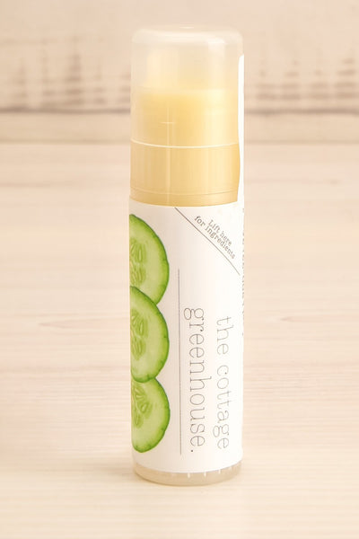 Cucumber & Honey Lip Balm | La Petite Garçonne Chpt. 2 close-up