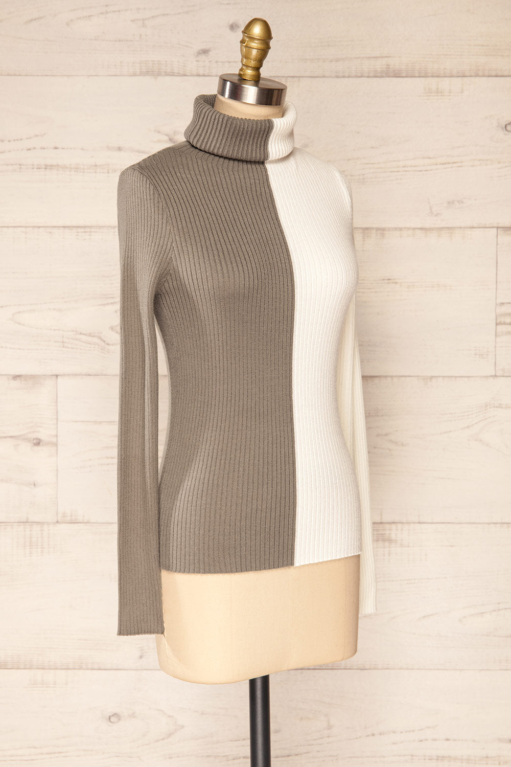 Danaey Two-tone Ribbed Turtleneck | La petite garçonne side view