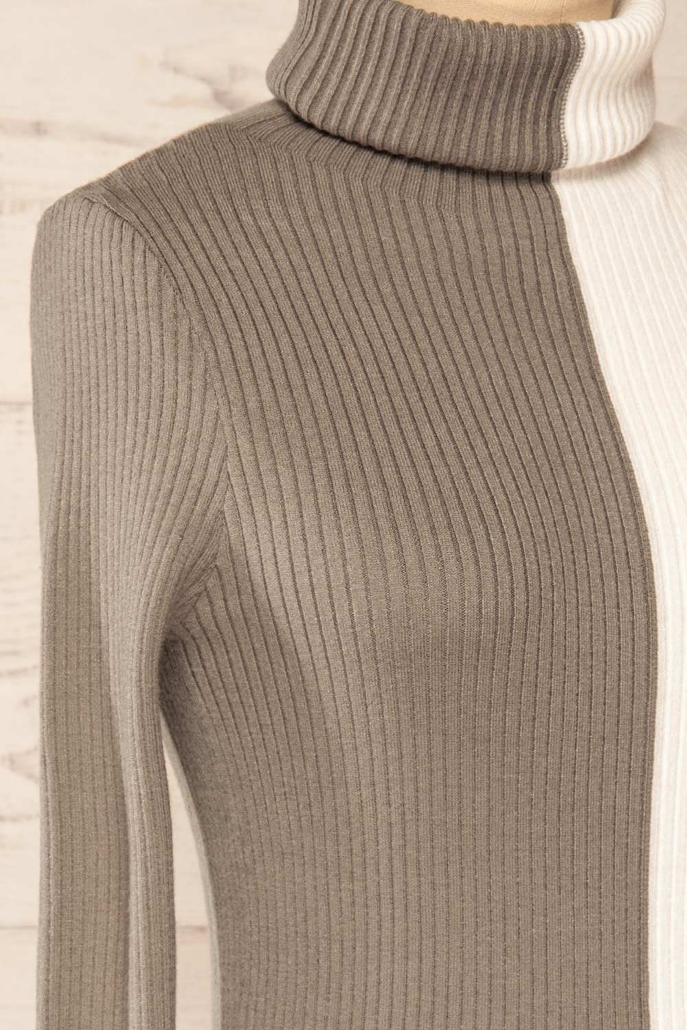 Danaey Two-tone Ribbed Turtleneck | La petite garçonne side close-up