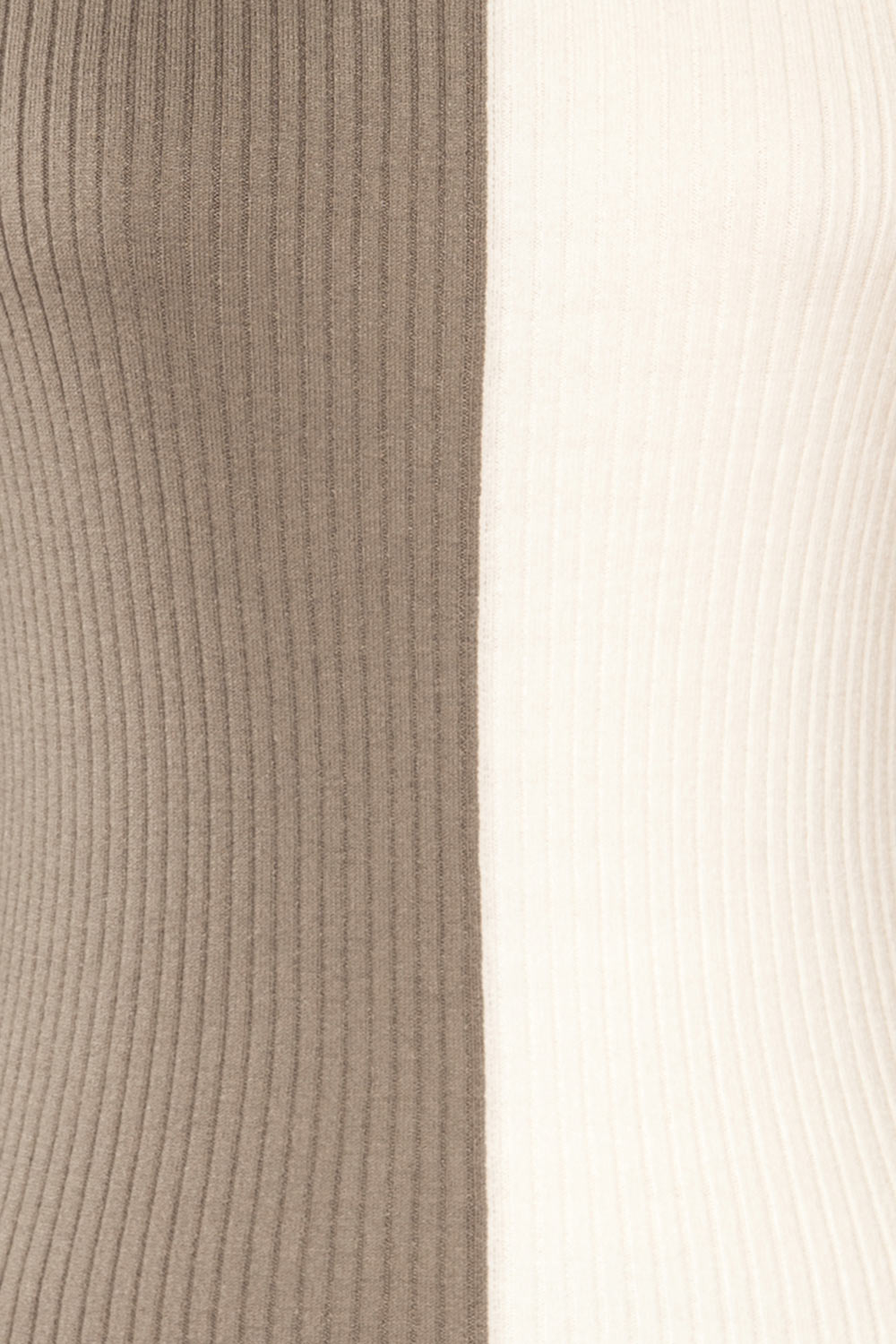 Danaey Two-tone Ribbed Turtleneck | La petite garçonne fabric