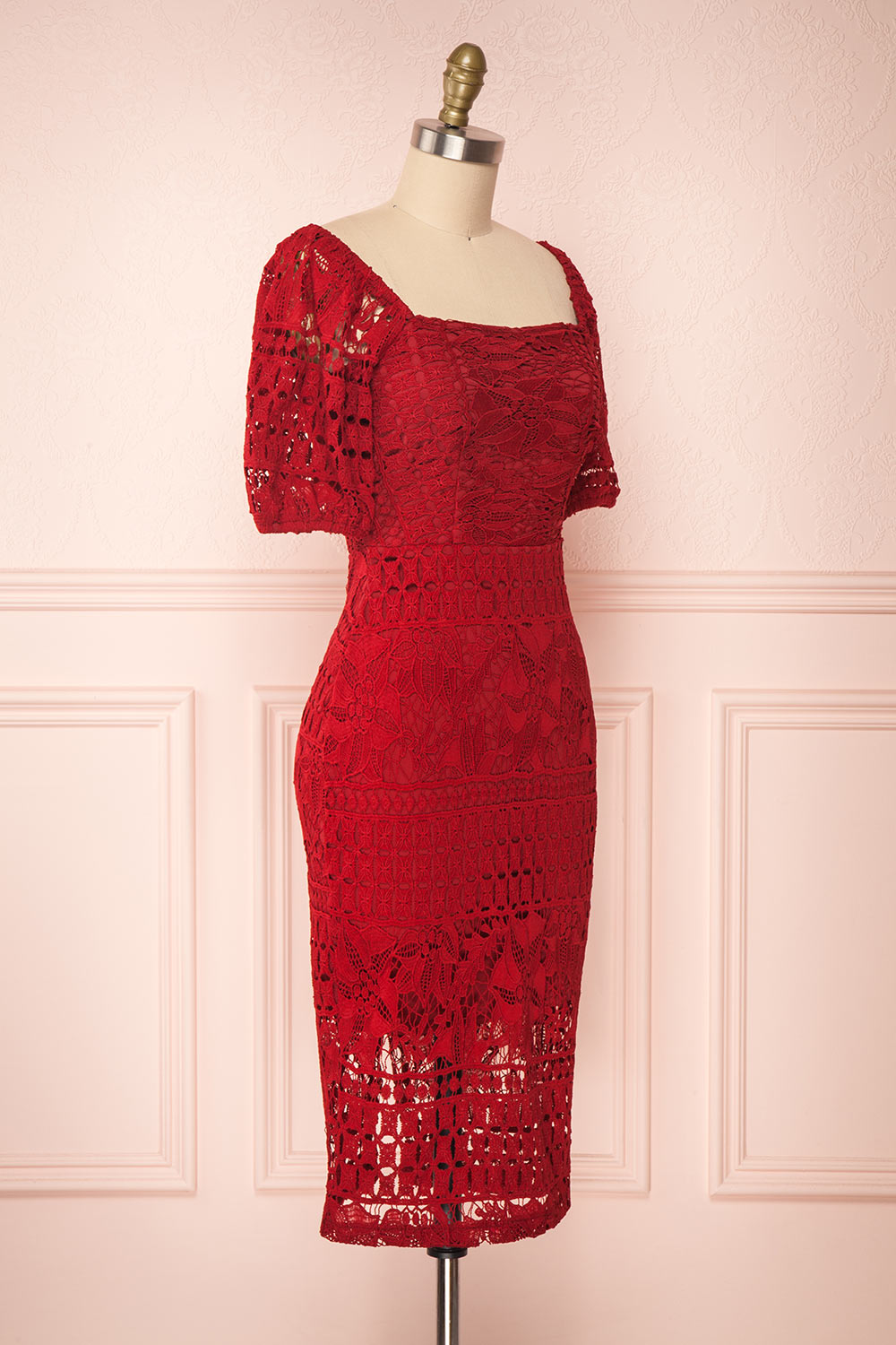 Daphnee Rouge Red Lace Fitted Cocktail Dress | Boutique 1861 side view 