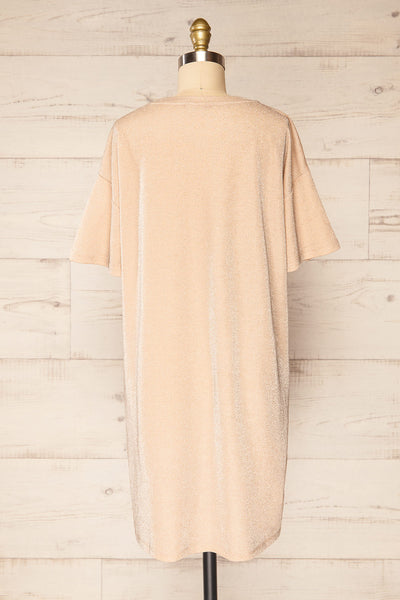 Dattilo Blush Shimmery T-Shirt Dress | La petite garçonne back view