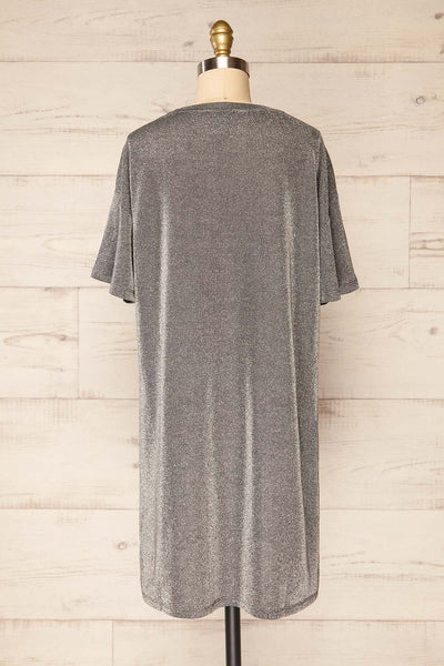 Dattilo Grey Shimmery T-Shirt Dress | La petite garçonne back view