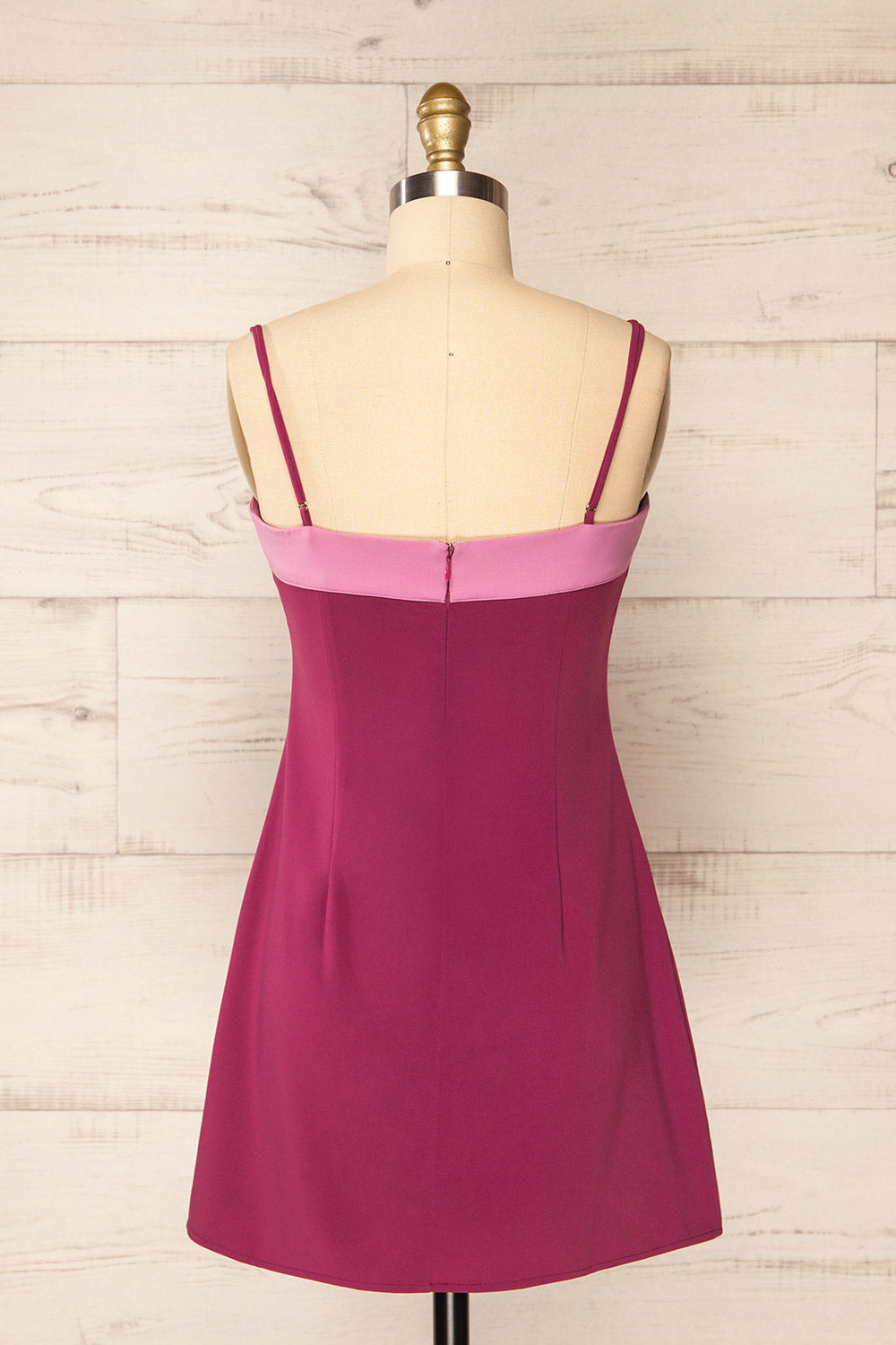 Draga Short Magenta 70's Style Dress | La petite garçonne back view