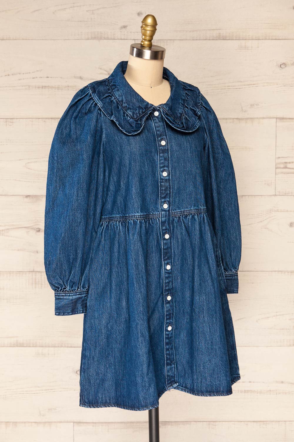 Eidesaetra Long Sleeve Denim Shirt Dress | La petite garçonne side view