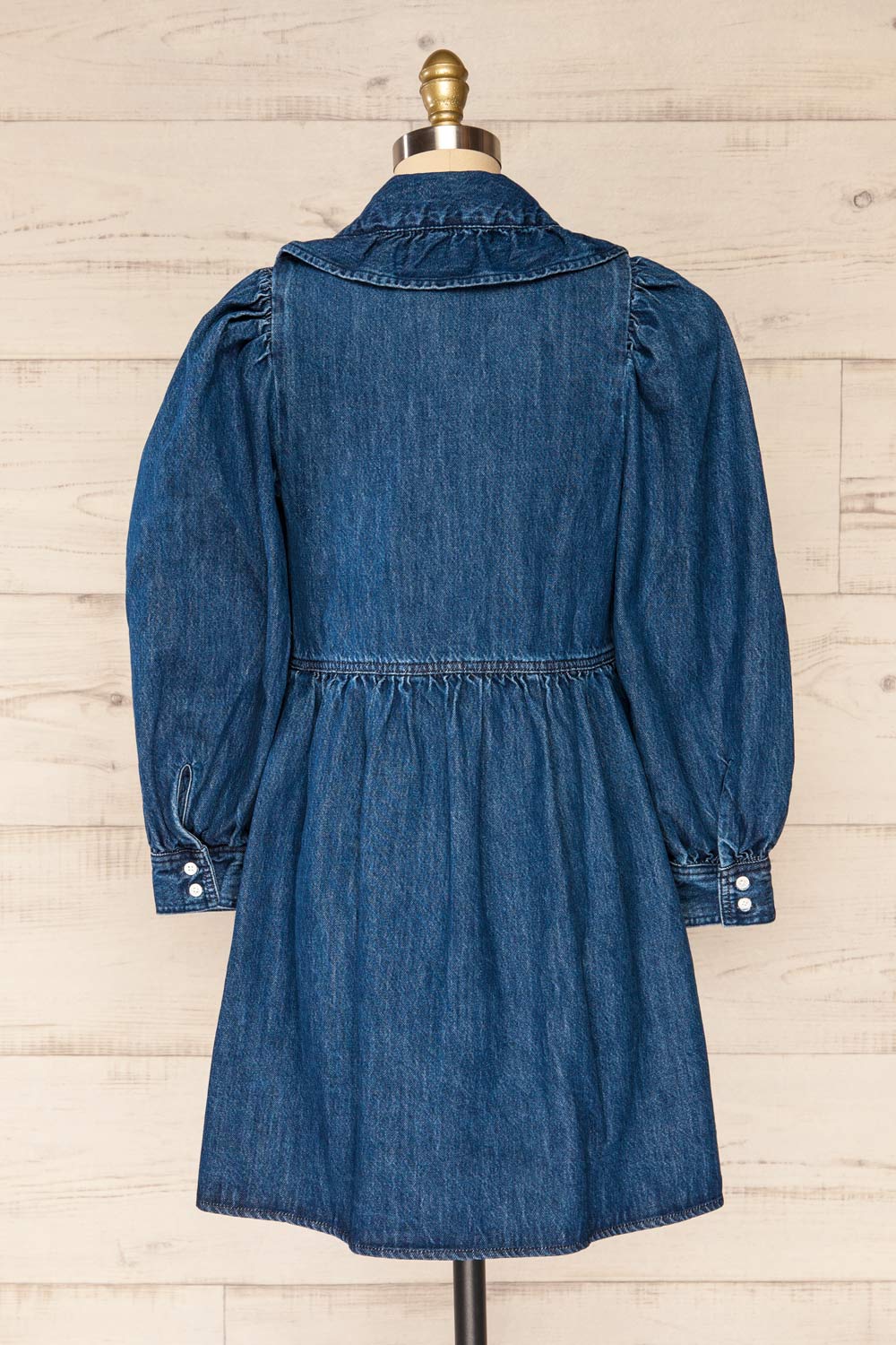 Eidesaetra Long Sleeve Denim Shirt Dress | La petite garçonne back view