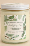 Eucalyptus & Lime Soy Wax Candle | Maison garçonne close-up