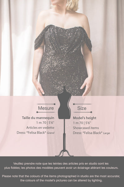 Felisa Black Pleated Sequins Maxi Dress | Boutique 1861 fiche