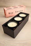 Herbal Candle Set of 3 Perfumed Candles | La Petite Garçonne Chpt. 2 10