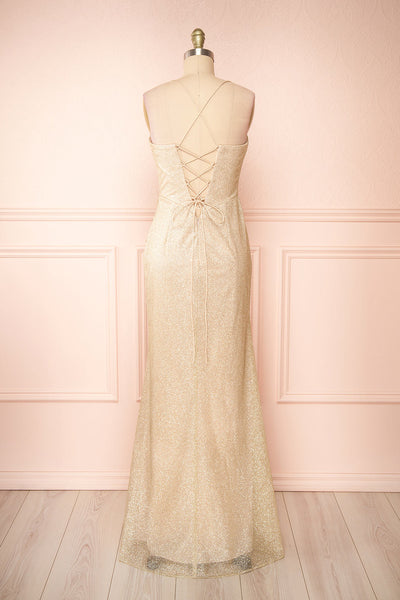 Frosti Champagne Sparkly Cowl Neck Maxi Dress | Boutique 1861 back view