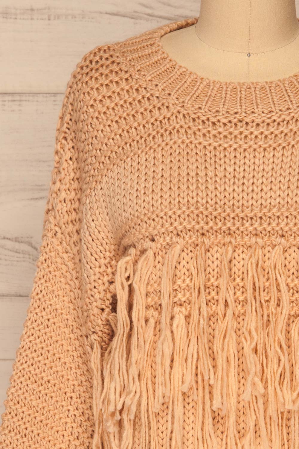 Gamine Pink Fringe Knitted Sweater | La petite garçonne front close-up