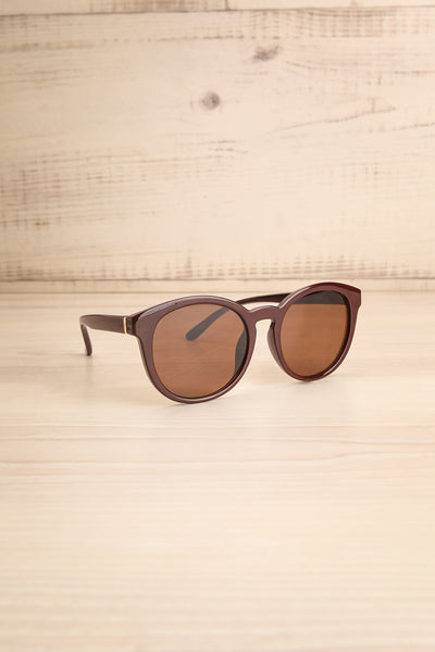 Gluck Brown Wayfarer Sunglasses side view | La Petite Garçonne