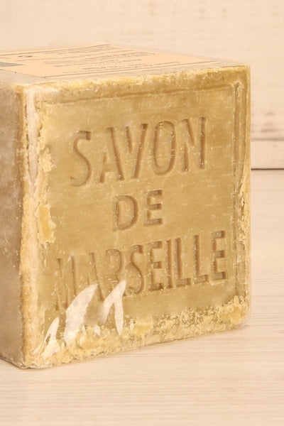 Grand Savon de Marseille Olive Soap | La Petite Garçonne Chpt. 2 2