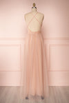 Gunvor Blush Pink Mesh Maxi Dress w/ Glitter | Boutique 1861 back view