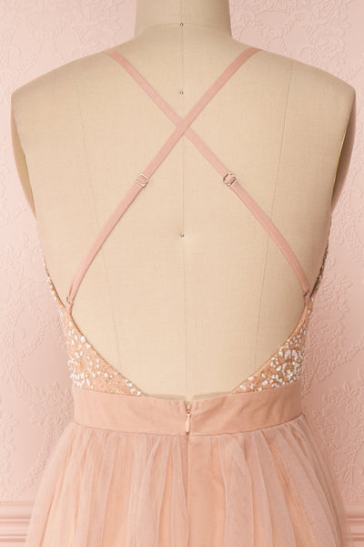 Gunvor Blush Pink Mesh Maxi Dress w/ Glitter | Boutique 1861 back close-up