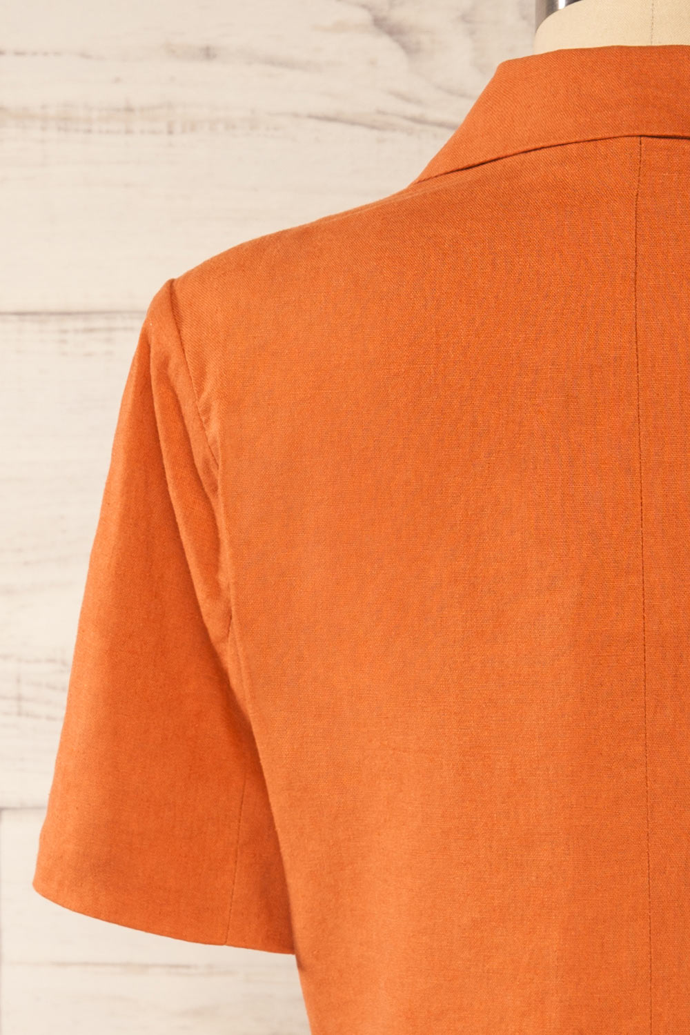 Haidari Rust Button-Up Crop Top | La petite garçonne back close-up