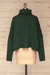 Hellen Forest Green Cropped Knit Sweater | La petite garçonne back view