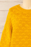 Henares Scalloped Knit Cropped Sweater | La petite garçonne front close-up