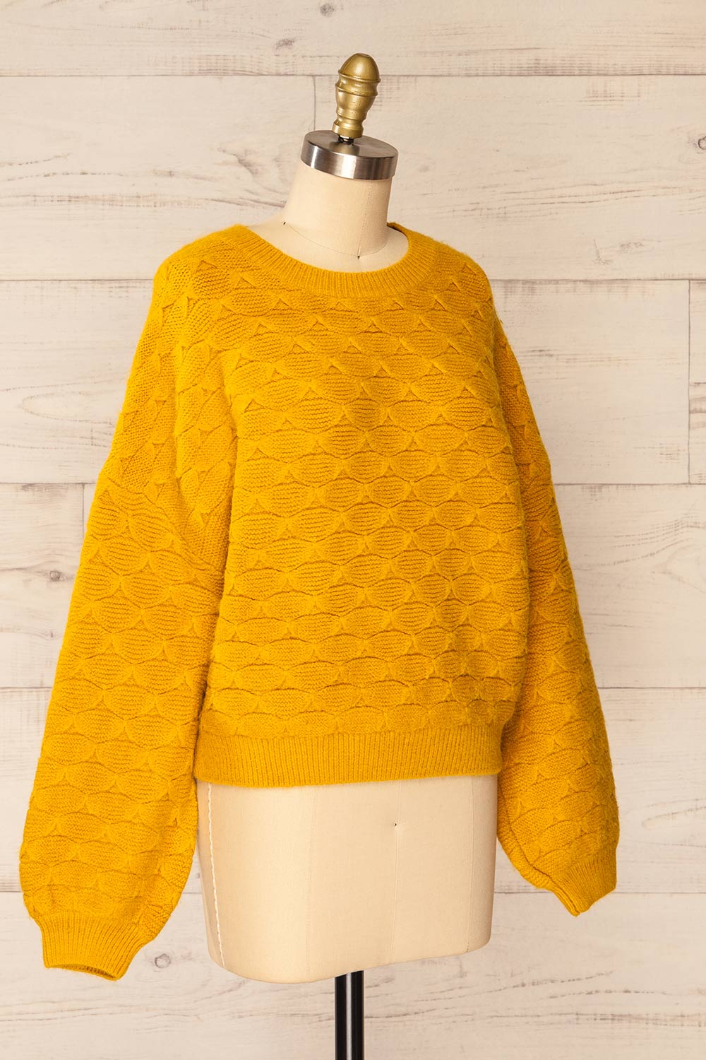 Henares Scalloped Knit Cropped Sweater | La petite garçonne side view