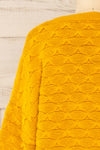 Henares Scalloped Knit Cropped Sweater | La petite garçonne back close-up