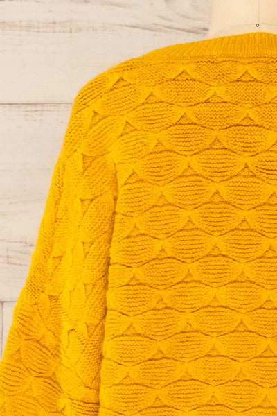 Henares Scalloped Knit Cropped Sweater | La petite garçonne back close-up