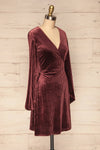 Herleen Bourgogne Red Pattern Velvet Wrap Dress | La Petite Garçonne side view