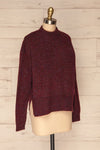 Herning Burgundy High-Neck Knit Sweater | Boutique 1861 side view