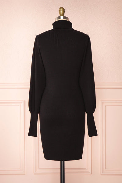 Janick Black Ribbed Turtleneck Fitted Dress | Boutique 1861 back view