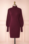Janick Burgundy Ribbed Turtleneck Fitted Dress | Boutique 1861 front view