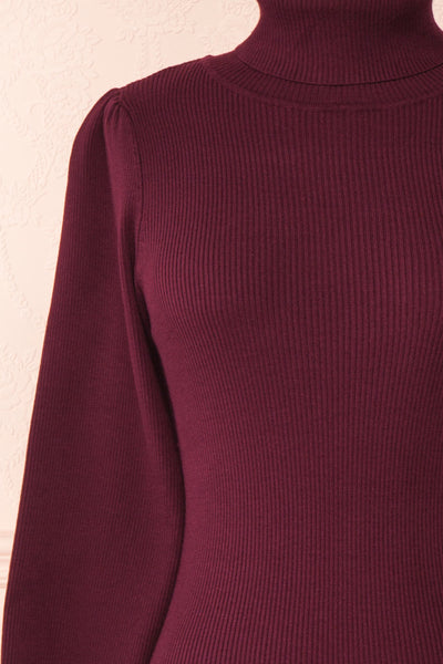 Janick Burgundy Ribbed Turtleneck Fitted Dress | Boutique 1861 front close-up