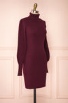 Janick Burgundy Ribbed Turtleneck Fitted Dress | Boutique 1861 side view