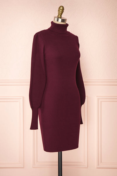 Janick Burgundy Ribbed Turtleneck Fitted Dress | Boutique 1861 side view