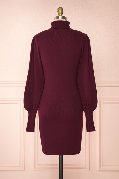 Janick Burgundy Ribbed Turtleneck Fitted Dress | Boutique 1861 back view