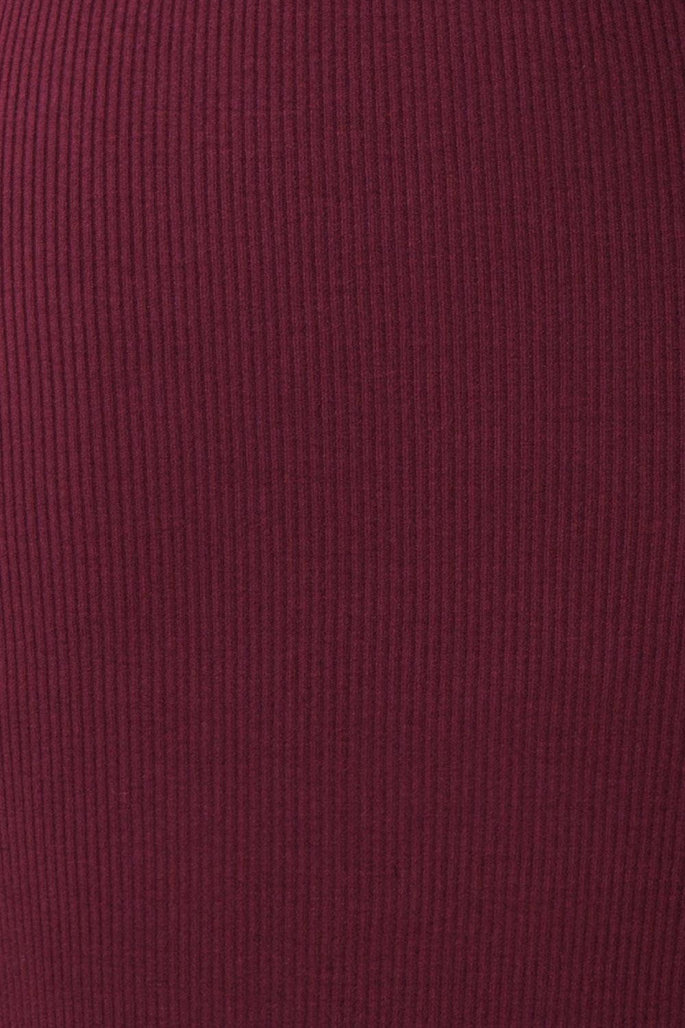 Janick Burgundy Ribbed Turtleneck Fitted Dress | Boutique 1861 fabric 