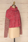 Jaroslaw Colourful Turtleneck Knit Sweater | La Petite Garçonne side view