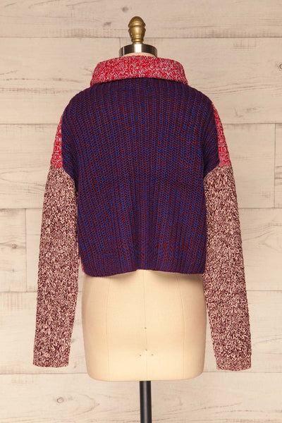 Jaroslaw Colourful Turtleneck Knit Sweater | La Petite Garçonne back view