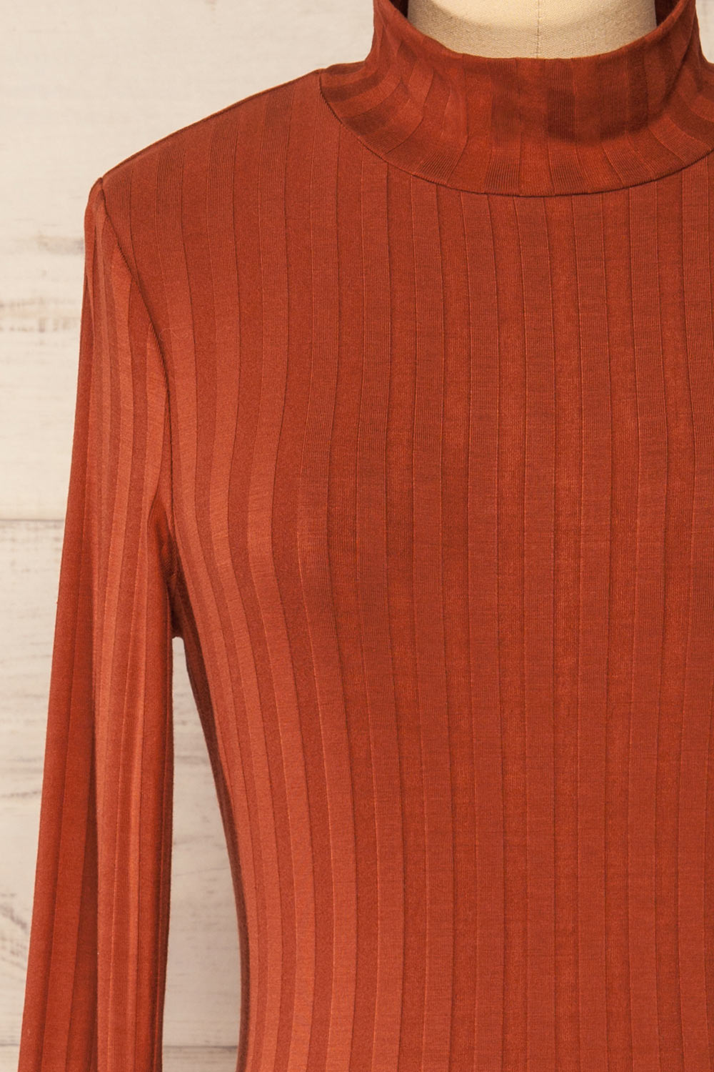 Kalani Rust Fitted Mock Neck Dress | La petite garçonne front close-up