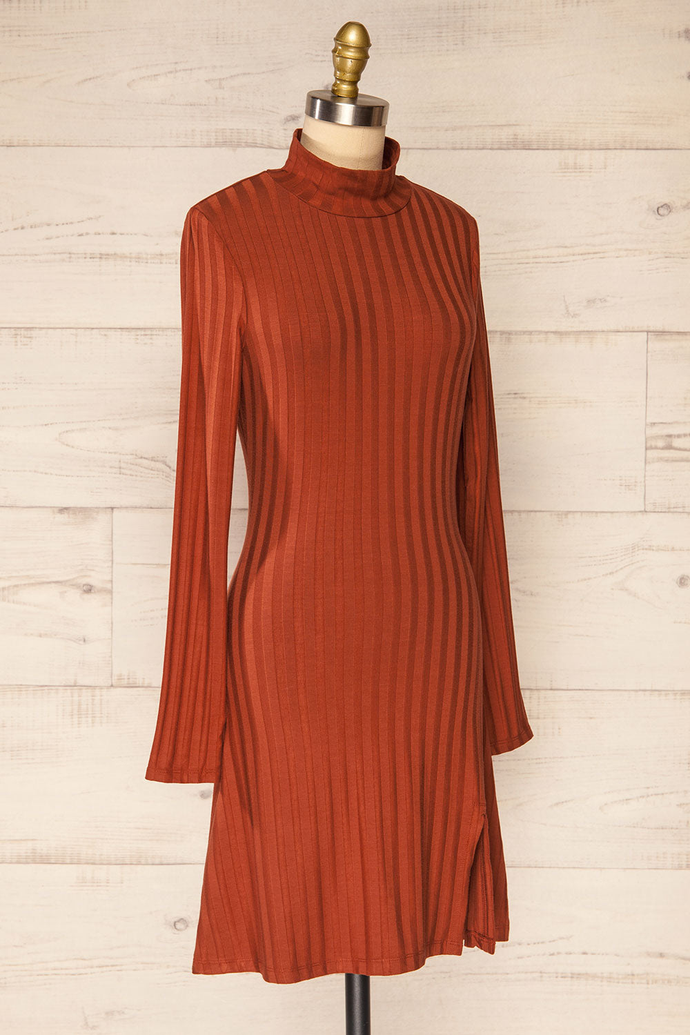 Kalani Rust Fitted Mock Neck Dress | La petite garçonne side view