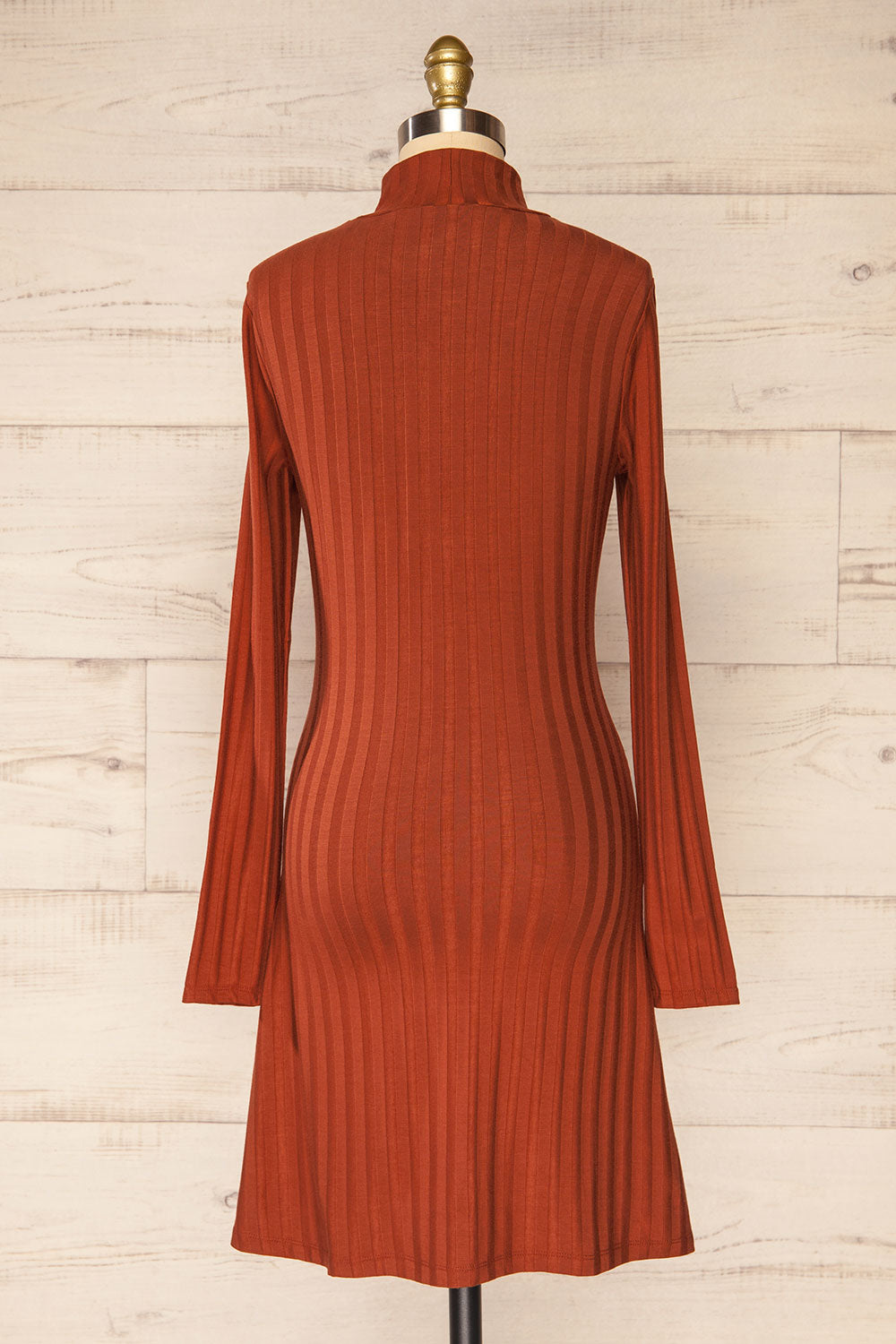 Kalani Rust Fitted Mock Neck Dress | La petite garçonne back view