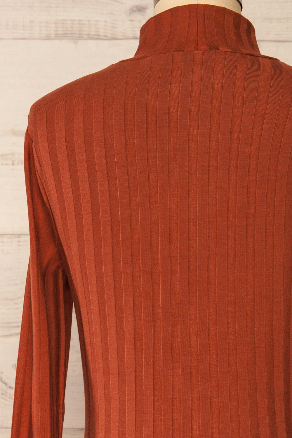 Kalani Rust Fitted Mock Neck Dress | La petite garçonne back close-up