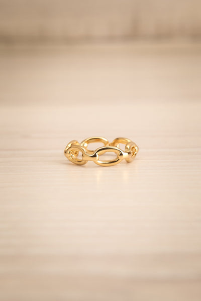 Kietrz Or Fine Chain Links Textured Golden Ring flat view | La Petite Garçonne