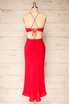 Krahken Red Cowl Neck Backless Midi Dress | La petite garçonne back view