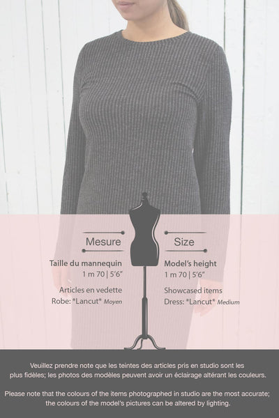 Lancut Grey Vertical Lines Short Dress | La petite garçonne fiche