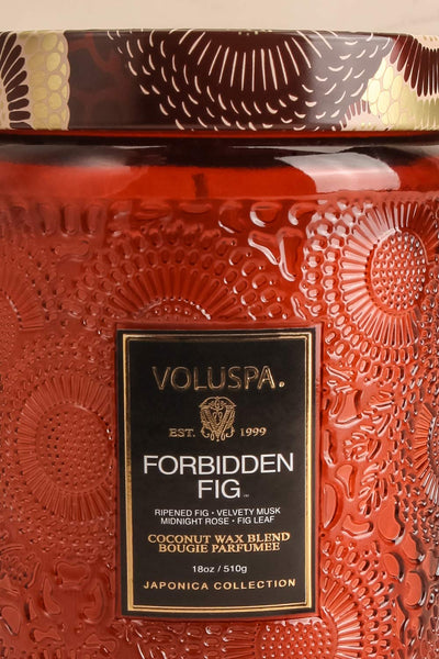 Large Jar Candle Forbidden Fig by Voluspa | La petite garçonne close-up