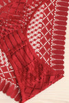 Larvik Burgundy Lace Underwear | La petite garçonne flat close-up