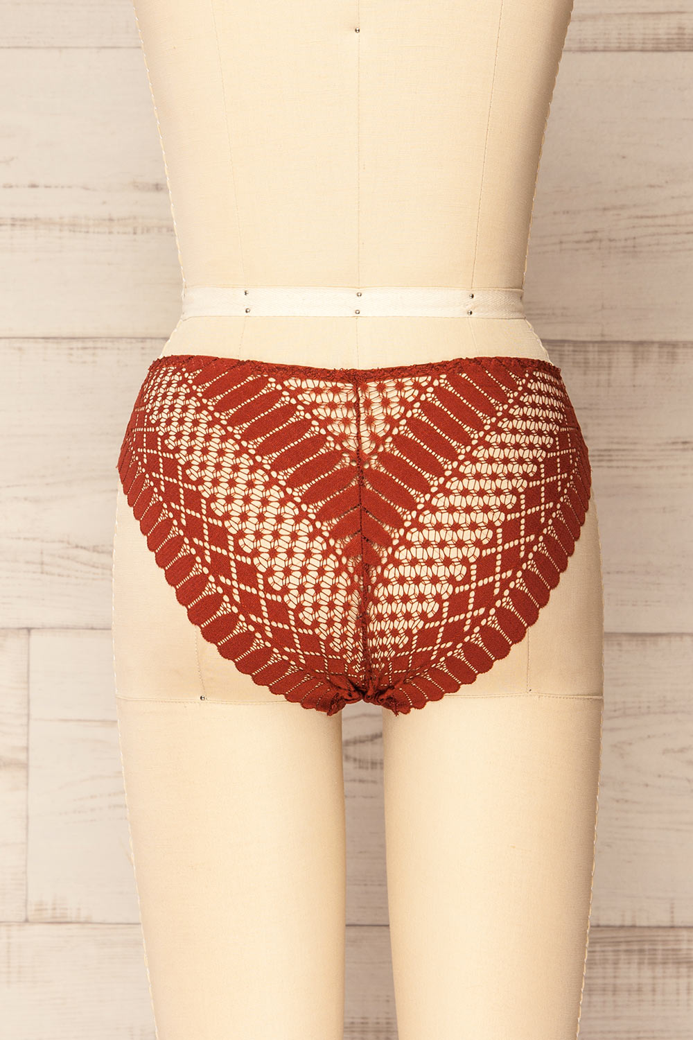 Larvik Orange Lace Underwear | La petite garçonne back view 