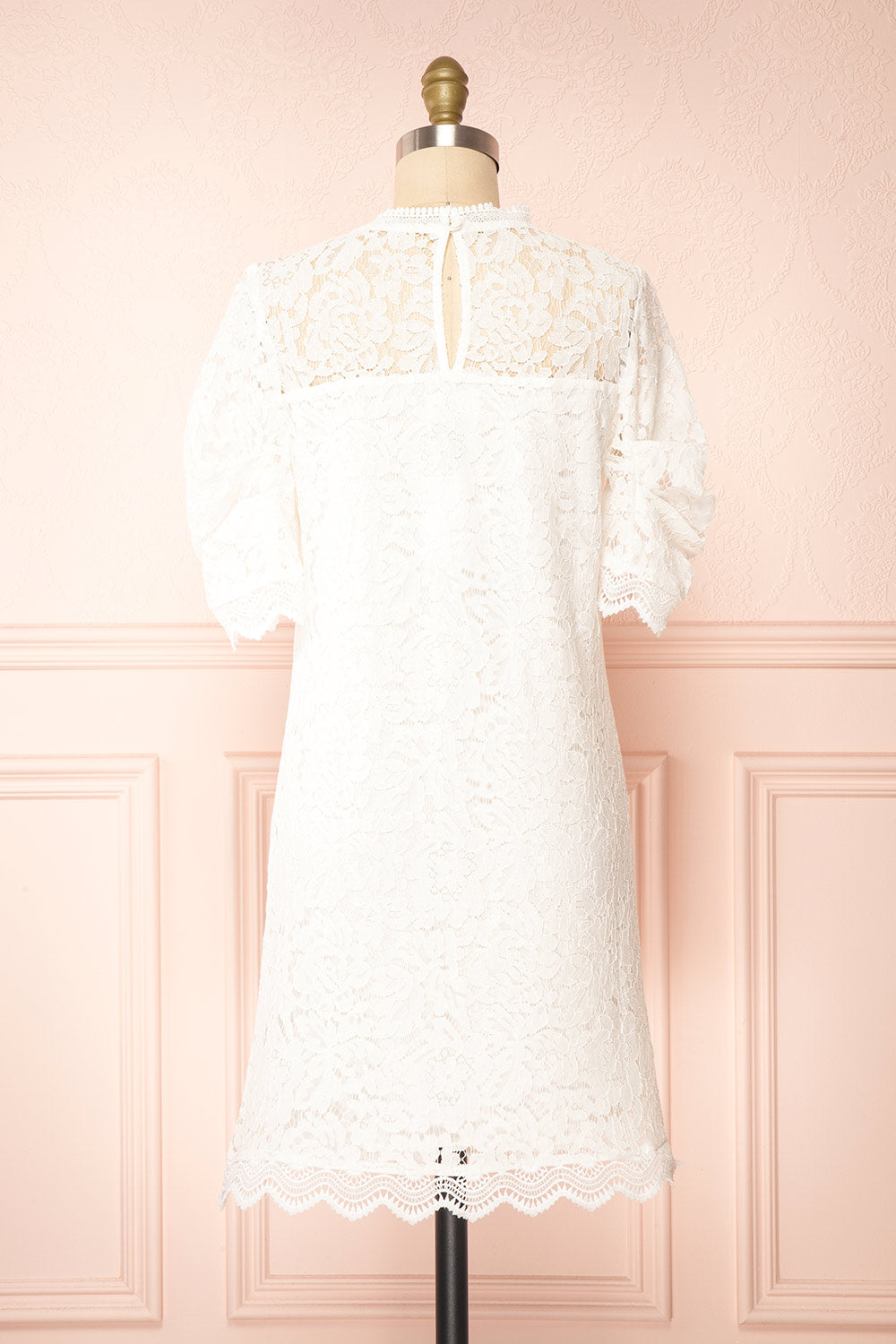 Lelesmi White Short Sleeve Lace Dress w/ Round Collar | Boutique 1861 back view 