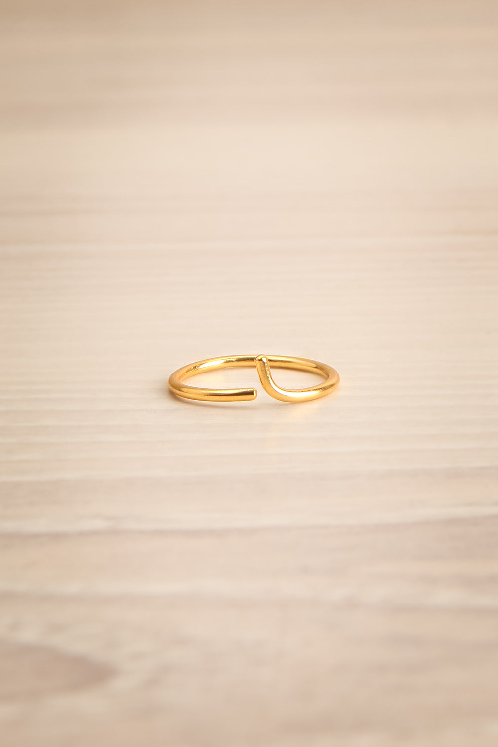 Lineo Doré Minimalist Gold Ring | La Petite Garçonne Chpt. 2 1